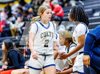 Thumbnail 1 in Pine Forest @ Cape Fear photogallery.