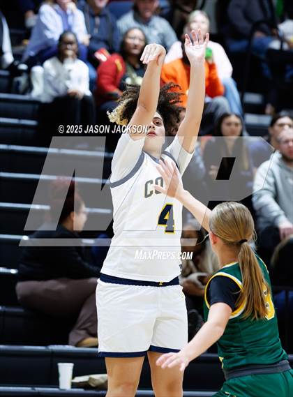 Thumbnail 1 in Pine Forest @ Cape Fear photogallery.