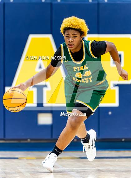 Thumbnail 3 in Pine Forest @ Cape Fear photogallery.