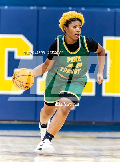 Thumbnail 2 in Pine Forest @ Cape Fear photogallery.