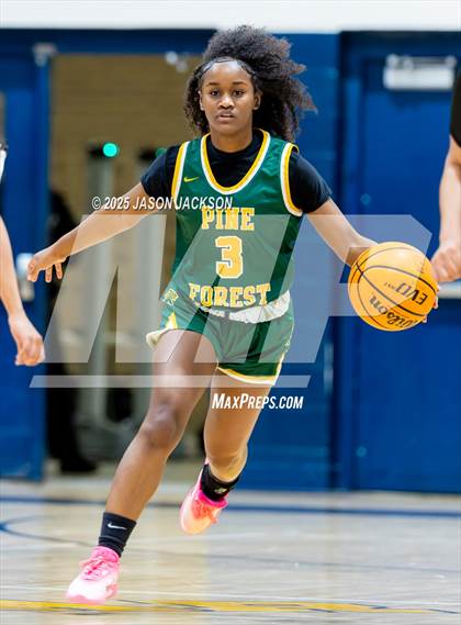 Thumbnail 3 in Pine Forest @ Cape Fear photogallery.