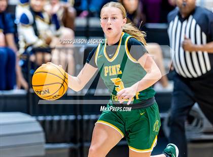 Thumbnail 2 in Pine Forest @ Cape Fear photogallery.