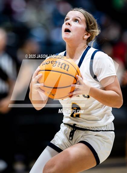 Thumbnail 3 in Pine Forest @ Cape Fear photogallery.