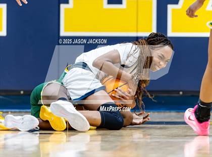 Thumbnail 2 in Pine Forest @ Cape Fear photogallery.