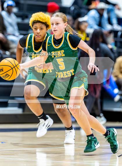 Thumbnail 2 in Pine Forest @ Cape Fear photogallery.