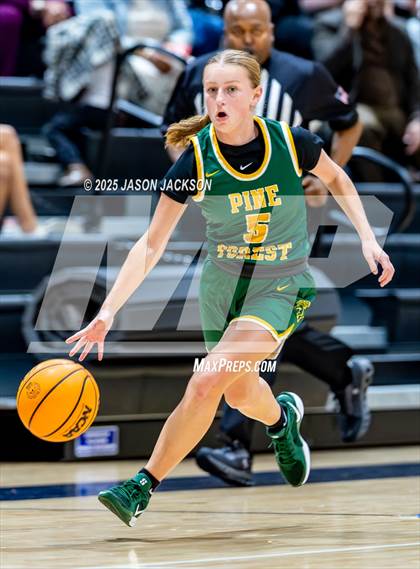 Thumbnail 2 in Pine Forest @ Cape Fear photogallery.