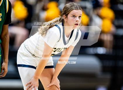 Thumbnail 3 in Pine Forest @ Cape Fear photogallery.