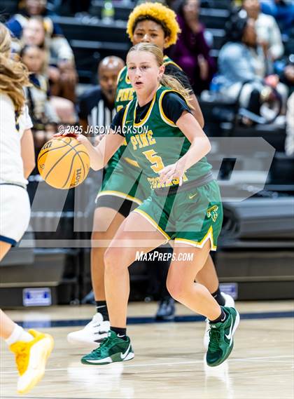 Thumbnail 3 in Pine Forest @ Cape Fear photogallery.