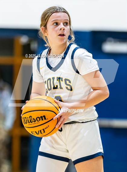 Thumbnail 2 in Pine Forest @ Cape Fear photogallery.