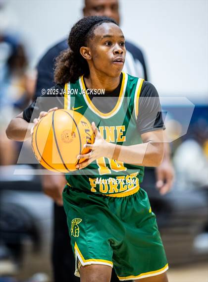 Thumbnail 3 in Pine Forest @ Cape Fear photogallery.