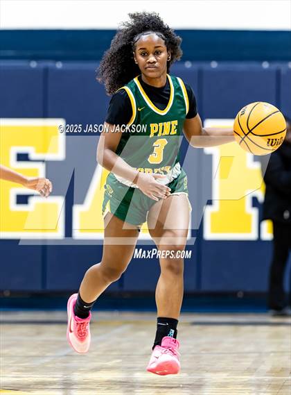 Thumbnail 3 in Pine Forest @ Cape Fear photogallery.