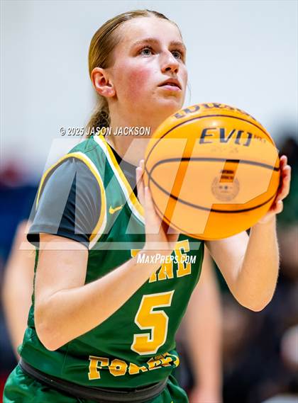 Thumbnail 3 in Pine Forest @ Cape Fear photogallery.