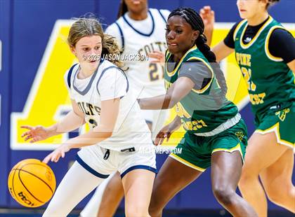 Thumbnail 2 in Pine Forest @ Cape Fear photogallery.