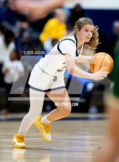 Thumbnail 3 in Pine Forest @ Cape Fear photogallery.