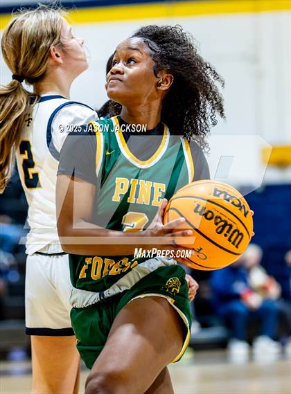 Thumbnail 2 in Pine Forest @ Cape Fear photogallery.