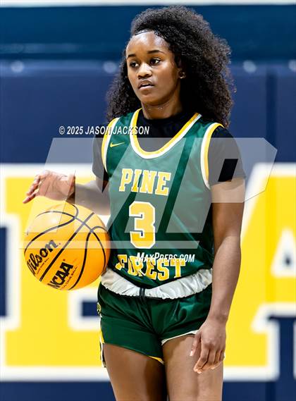 Thumbnail 2 in Pine Forest @ Cape Fear photogallery.