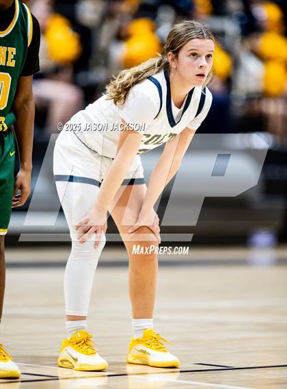 Thumbnail 1 in Pine Forest @ Cape Fear photogallery.