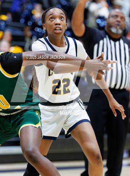 Thumbnail 1 in Pine Forest @ Cape Fear photogallery.