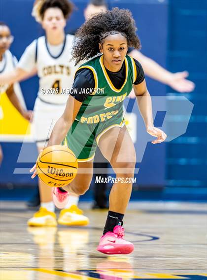 Thumbnail 1 in Pine Forest @ Cape Fear photogallery.