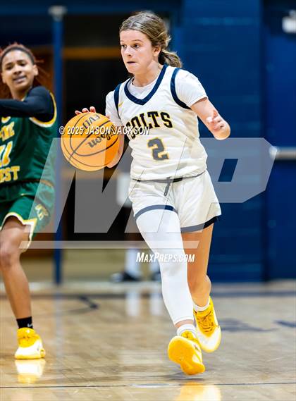 Thumbnail 2 in Pine Forest @ Cape Fear photogallery.