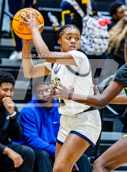 Thumbnail 3 in Pine Forest @ Cape Fear photogallery.