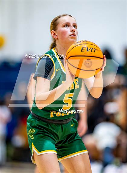 Thumbnail 2 in Pine Forest @ Cape Fear photogallery.