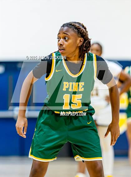 Thumbnail 1 in Pine Forest @ Cape Fear photogallery.