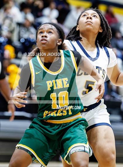 Thumbnail 1 in Pine Forest @ Cape Fear photogallery.