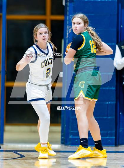 Thumbnail 3 in Pine Forest @ Cape Fear photogallery.