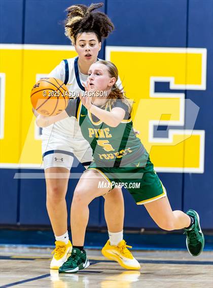 Thumbnail 1 in Pine Forest @ Cape Fear photogallery.