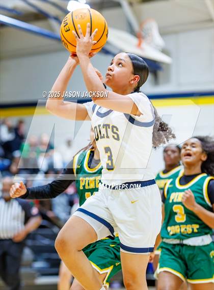 Thumbnail 3 in Pine Forest @ Cape Fear photogallery.