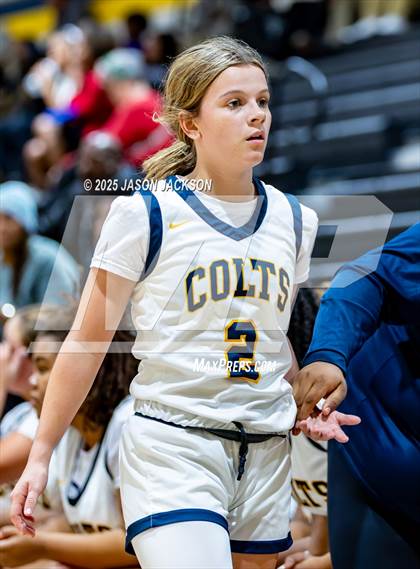 Thumbnail 2 in Pine Forest @ Cape Fear photogallery.