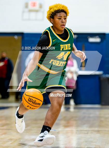 Thumbnail 2 in Pine Forest @ Cape Fear photogallery.