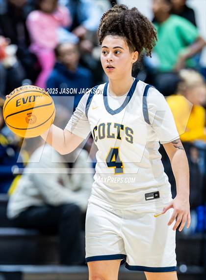 Thumbnail 1 in Pine Forest @ Cape Fear photogallery.