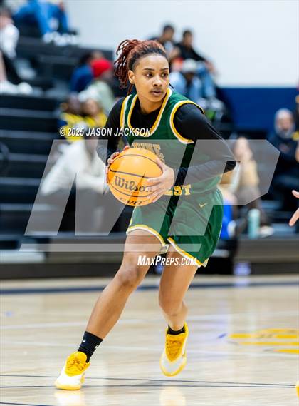 Thumbnail 3 in Pine Forest @ Cape Fear photogallery.