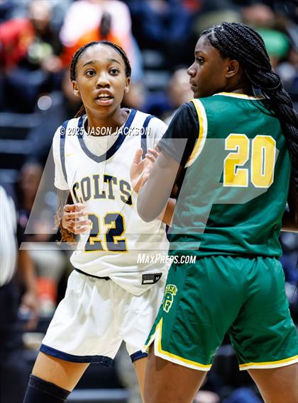 Thumbnail 3 in Pine Forest @ Cape Fear photogallery.