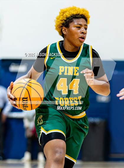 Thumbnail 1 in Pine Forest @ Cape Fear photogallery.