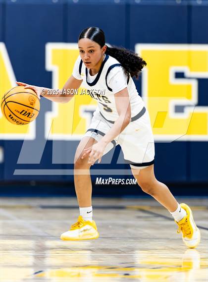 Thumbnail 3 in Pine Forest @ Cape Fear photogallery.