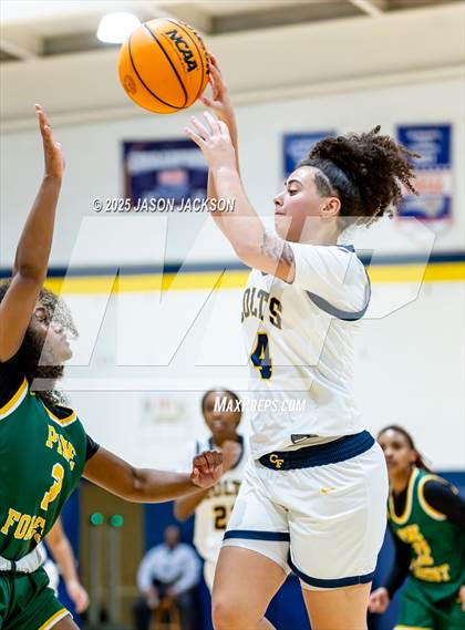 Thumbnail 3 in Pine Forest @ Cape Fear photogallery.