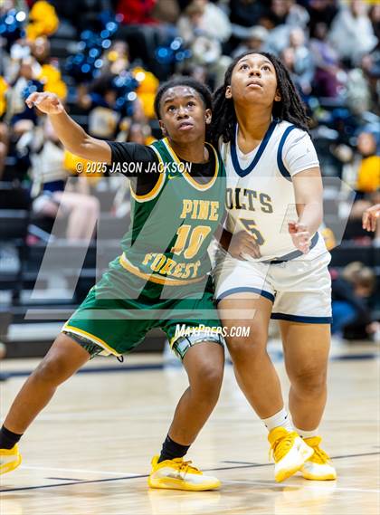 Thumbnail 2 in Pine Forest @ Cape Fear photogallery.