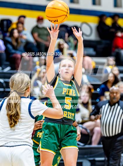 Thumbnail 2 in Pine Forest @ Cape Fear photogallery.