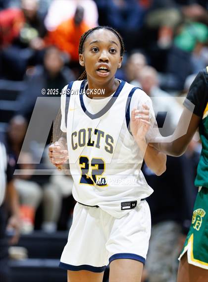 Thumbnail 2 in Pine Forest @ Cape Fear photogallery.