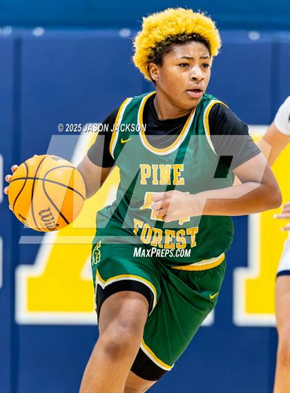 Thumbnail 1 in Pine Forest @ Cape Fear photogallery.