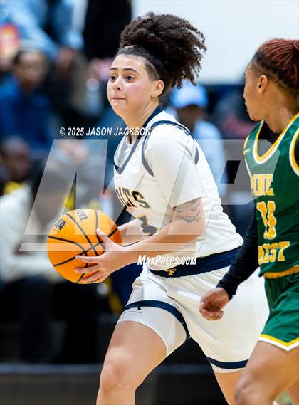 Thumbnail 1 in Pine Forest @ Cape Fear photogallery.