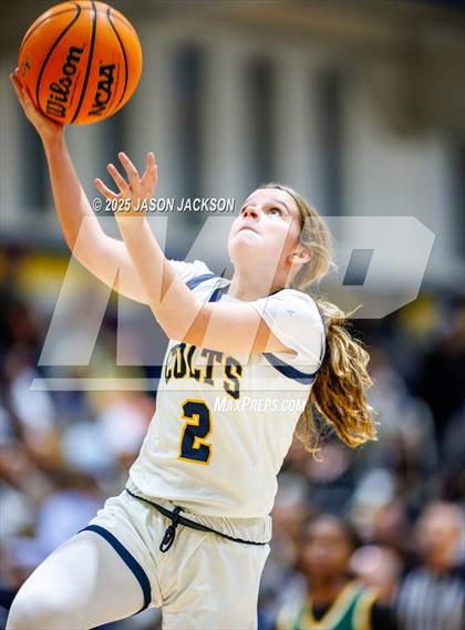 Thumbnail 3 in Pine Forest @ Cape Fear photogallery.