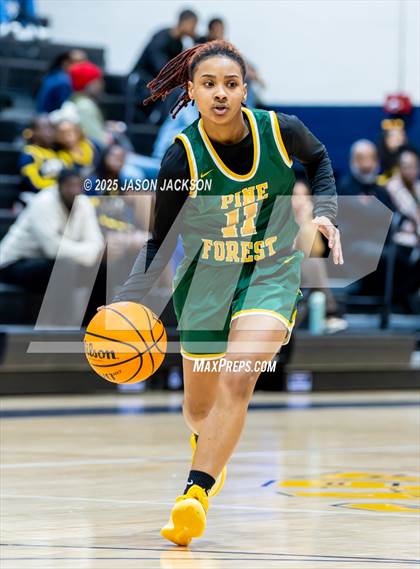 Thumbnail 2 in Pine Forest @ Cape Fear photogallery.