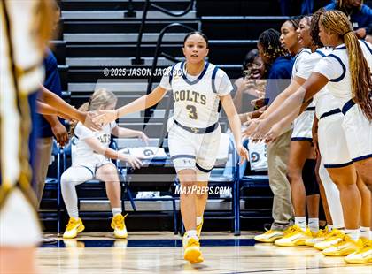 Thumbnail 1 in Pine Forest @ Cape Fear photogallery.