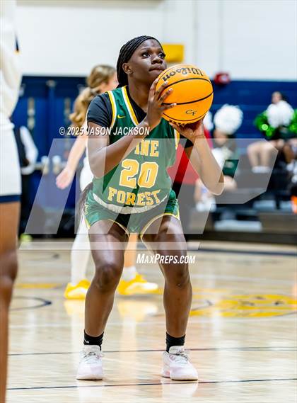 Thumbnail 2 in Pine Forest @ Cape Fear photogallery.