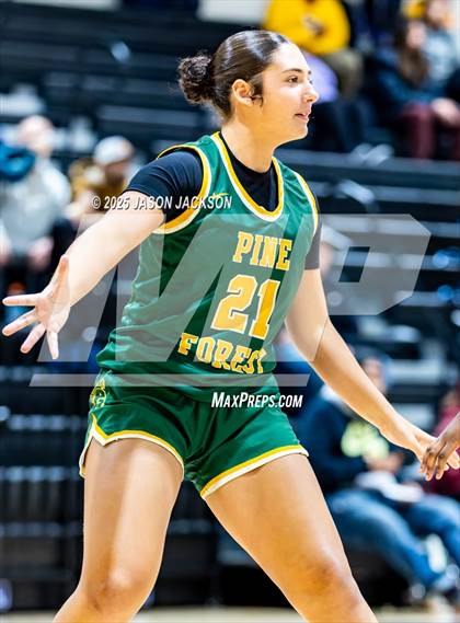 Thumbnail 1 in Pine Forest @ Cape Fear photogallery.