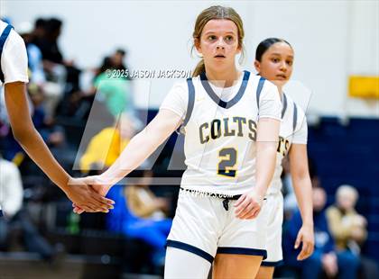 Thumbnail 3 in Pine Forest @ Cape Fear photogallery.